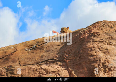 Lion dans la belle West Midland Safari Park on APR 23, 2016 à Spring Grove, United Kingdom Banque D'Images