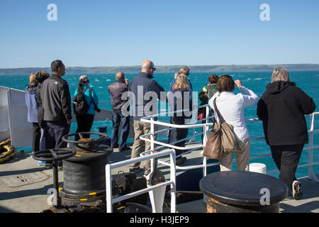 Les passagers de ferry Sealink sur pont avant l'observation de l'île Kangourou comme approches ferry shore,Kangaroo Island, Australie du Sud Banque D'Images