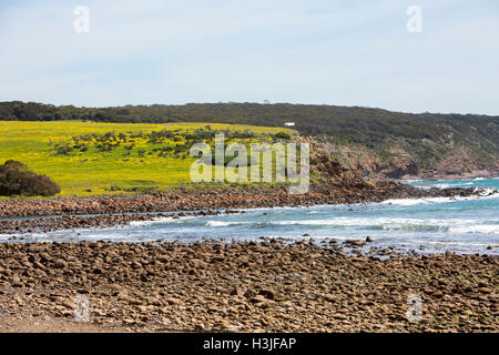 Stokes Bay, situé sur la côte nord de l'île Kangourou, troisième plus grande île de l'Australie, l'Australie du Sud Banque D'Images