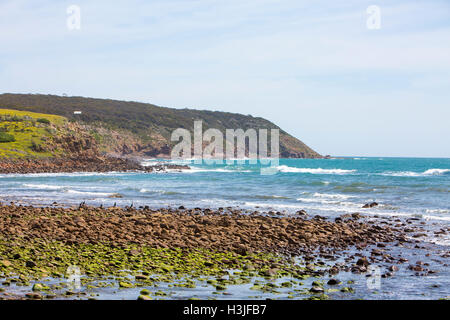 Stokes Bay, situé sur la côte nord de l'île Kangourou, troisième plus grande île de l'Australie, l'Australie du Sud Banque D'Images