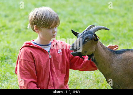 Boy petting goat, Wildpark Schwarze Berge, Basse-Saxe, Allemagne Banque D'Images