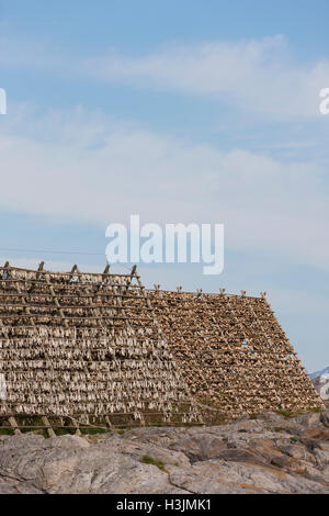 Les séchoirs omniprésents font face à l'océan pour sécher à l'air dans les vents de la mer. Stockfish est une exportation importante. Îles Lofoten, Norvège, Banque D'Images