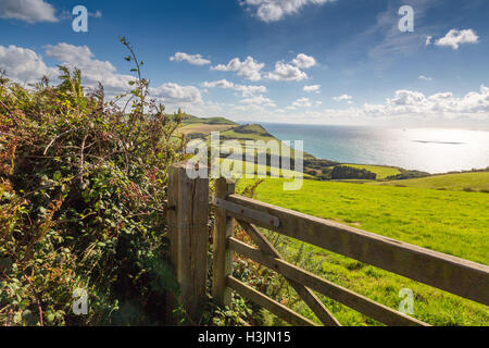 Le point de vue de la côte jurassique du bord de Langdon Woods au-dessus de Seatown, Dorset, England, UK Banque D'Images