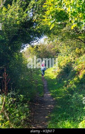 Le sentier à Golden Cap au bord de Langdon Woods au-dessus de Seatown, Dorset, England, UK Banque D'Images