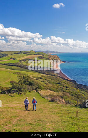 Les marcheurs en descente à partir du sommet du Cap d'or sur la côte sud-ouest, Chemin de la Côte Jurassique, Dorset, England, UK Banque D'Images