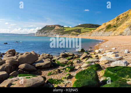 Cap d'or (la plus haute falaise sur la côte sud de l'Angleterre) à partir de Seatown Beach sur la côte jurassique, Dorset, England, UK Banque D'Images