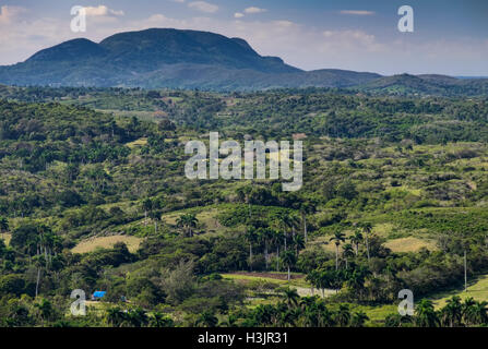 Luxuriante campagne cubaine typique, près de la province de Matanzas, Mayabeque, Centre de Cuba Banque D'Images