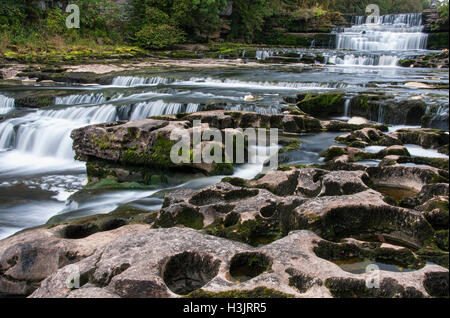 Aysgarth Falls (inférieur) et rivière Ure, Wensleydale, Yorkshire Dales National Park, Yorkshire, Angleterre, Royaume-Uni Banque D'Images