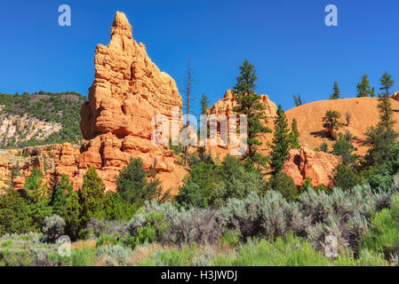 Belles montagnes dans le Parc National de Bryce Canyon, Utah, United States Banque D'Images