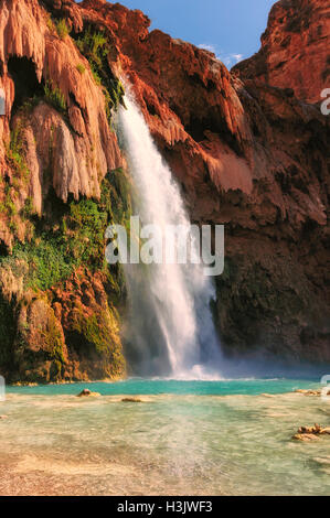 Havasu Falls, chutes d'eau dans le Grand Canyon, Arizona Banque D'Images