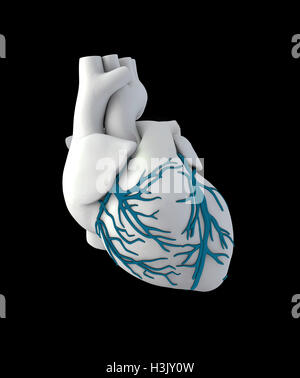 Illustration 3d de l'anatomie du Cœur humain - Isolé sur fond noir Banque D'Images