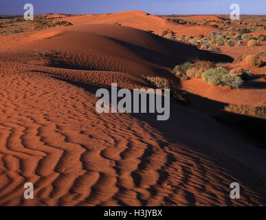 Dunes de sable du désert, Banque D'Images
