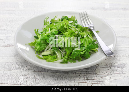 salade de coriandre Banque D'Images