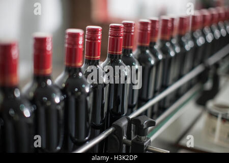 Rangée de bouteilles de vin rouge sur la ligne de production de l'usine d'embouteillage de vin Banque D'Images