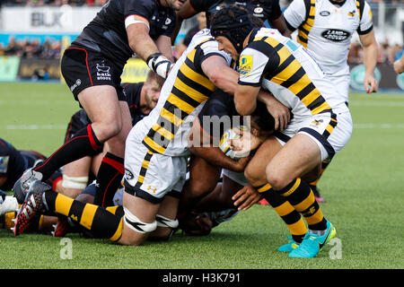 Barnet Copthall, Londres, Royaume-Uni. 09Th Oct, 2016. Aviva Premiership Rugby. Sarrasins contre les guêpes. Billy Vunipola des Sarrasins durs vers la ligne comme Rob Miller et Kearnan Myall de guêpes faire l'attaquer. © Plus Sport Action/Alamy Live News Banque D'Images