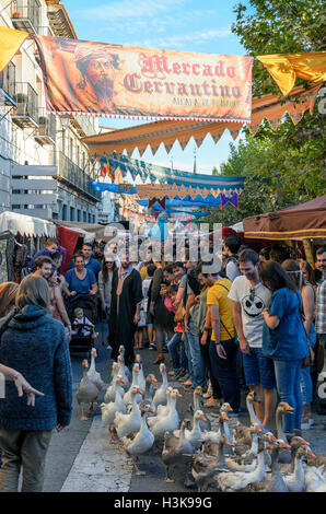 Alcala de Henares, Espagne. 8 octobre 2016. Quelques oies, entre les personnes, près de la place de Cervantès. Marché du Cervantino. (Octobre 7th-12th, 2016). De nombreuses activités culturelles sont faites autour de la figure universelle du célèbre écrivain Miguel de Cervantes, et l'époque médiévale. Le plus grand marché médiéval, de l'Europe, est organisé ces jours dans les rues du centre historique d'Alcalá de Henares, site du patrimoine mondial (Madrid - Espagne). Credit : Russet pomme/Alamy Live News Banque D'Images