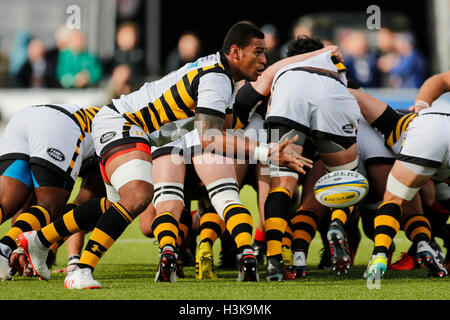 Barnet Copthall, Londres, Royaume-Uni. 09Th Oct, 2016. Aviva Premiership Rugby. Sarrasins contre les guêpes. Nathan Hughes de guêpes agit comme demi de mêlée. Score final : 30-14 Saracens guêpes. Credit : Action Plus Sport/Alamy Live News Banque D'Images