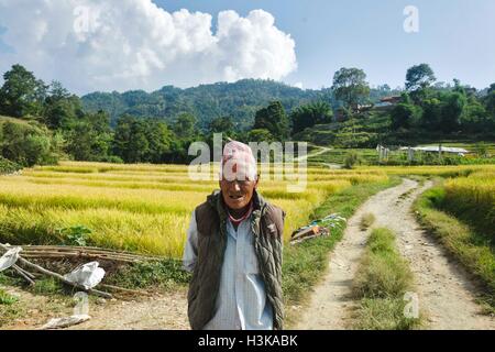 Lubhu, Lagankhel, au Népal. 21 Oct, 2015. Légende : Lubhu, Lagankhel, Katmandou, Népal, Octobre 2015 : Lubhu Lagankhel de district après le séisme dévastateur du 25 avril. © Debsuddha Banerjee/ZUMA/Alamy Fil Live News Banque D'Images