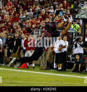 Palo Alto, Californie, USA. 8 octobre 2016. Arcega-Whiteside Stanford WR JJ s'étend pour remonter un col en NCAA football action à l'Université de Stanford, avec le Washington State Cougars visiter le Stanford Cardinal. L'État de Washington a gagné le match, 42-16. © Seth Riskin/ZUMA/Alamy Fil Live News Banque D'Images