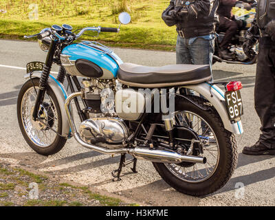 Régler, North Yorkshire, UK. Le 9 octobre 2016. Triumph motards en admirant la début de l'automne au soleil Ribblehead, North Yorkshire, UK Banque D'Images