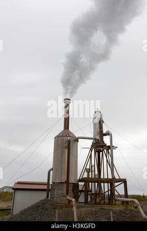 Petite collectivité rurale rurale du sud de l'usine d'énergie géothermique en Islande Banque D'Images