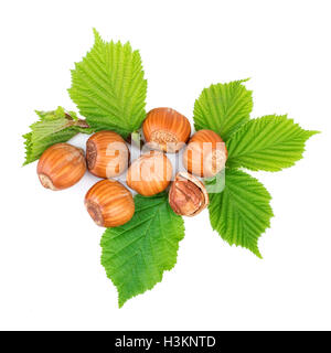 Noisette ou filbert écrous avec feuilles sur blanc. Vue d'en haut. Banque D'Images