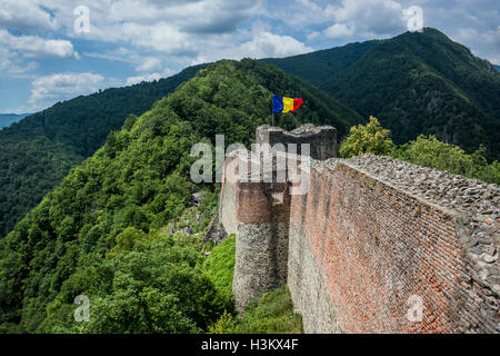 Aussi appelé Château Poenari Poenari Citadelle sur plateau du mont Cetatea, Roumanie, un des principaux forteresse de Vlad III Empaleur Banque D'Images