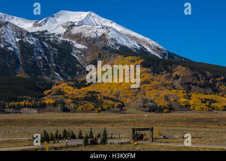 Couleurs d'automne près de Crested Butte Banque D'Images