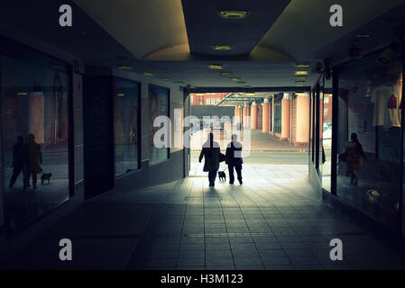 Silhouettes d'habitants de la ville libre de l'homme et de la femme au chien Banque D'Images