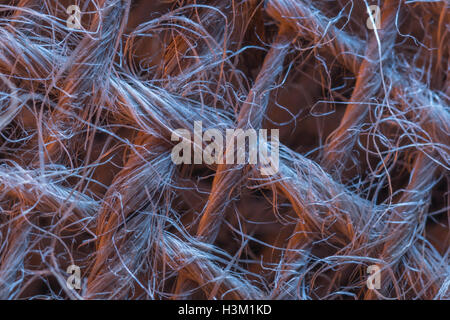 La macro-photo de fibre naturelle, du jute tissu montrant le détail de l'amende les threads. Banque D'Images