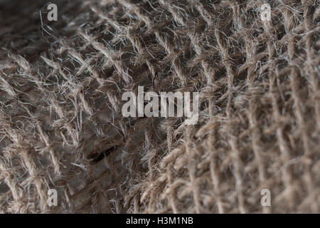 La macro-photo de fibre naturelle, du jute tissu montrant le détail de l'amende les threads. Banque D'Images