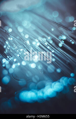 Plaque net de jetons avec des lumières à fibres optiques Banque D'Images