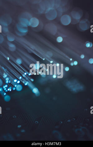 Plaque net de jetons avec des lumières à fibres optiques Banque D'Images