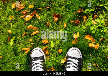 Espadrilles et les feuilles sur l'herbe Banque D'Images