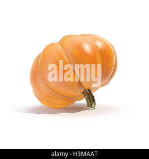 Pumpkin isolated on white bakcground. Le rendu 3D Banque D'Images