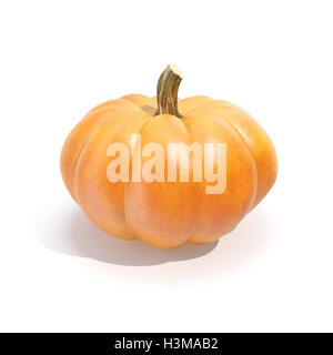 Pumpkin isolated on white bakcground. Le rendu 3D Banque D'Images