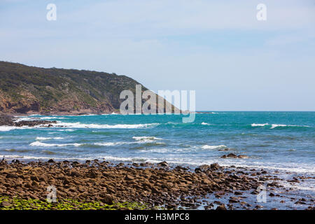 Stokes Bay sur la côte nord de l'île Kangourou, côte nord de l'île Kangourou, Australie du Sud Banque D'Images