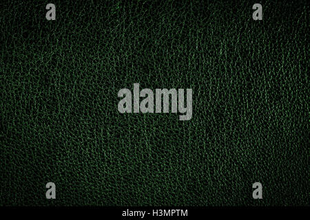 Fond d'arrière-plan, en cuir vert, la texture, le motif avec vignette Banque D'Images