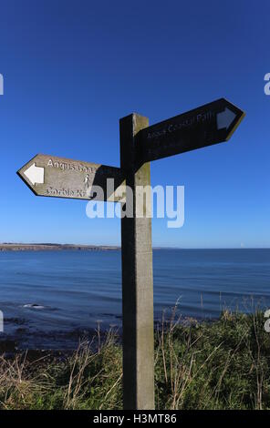 Inscrivez-vous sur Angus chemin côtier entre Corbie Knowe et Auchmithie Angus Scotland Octobre 2016 Banque D'Images