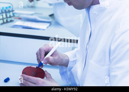 Notation scientifique pétri avec l'échantillon Banque D'Images