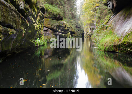 Sur la Gorge de la rivière Kamenice, Hrensko, Usti nad Labem, République Tchèque Banque D'Images