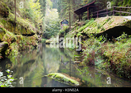 Sur la Gorge de la rivière Kamenice, Hrensko, Usti nad Labem, République Tchèque Banque D'Images