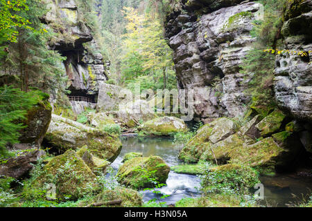 Sur la Gorge de la rivière Kamenice, Hrensko, Usti nad Labem, République Tchèque Banque D'Images