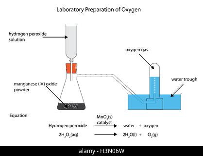 Diagramme étiqueté complet du laboratoire préparation de l'oxygène de l'eau oxygénée et l'oxyde de manganèse (IV) Illustration de Vecteur