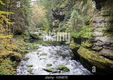 Gorge sauvage sur la rivière Kamenice par Mezni Pont mustek, Hrensko, Usti nad Labem, République Tchèque Banque D'Images