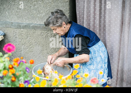 Senior woman nettoyer et laver le poulet fraîchement abattu. Banque D'Images