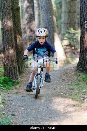 Un jeune (4 ans) boy riding son vélo dans le bois sur un vélo de montagne pompe voie Banque D'Images