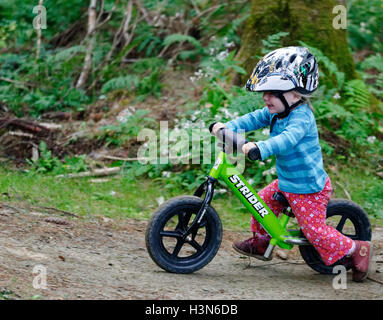 Une fillette de deux ans sur un équilibre pompe à vélo piste. Pris sur la voie de la pompe Leapfrog à Kingdom Trails Florida Banque D'Images
