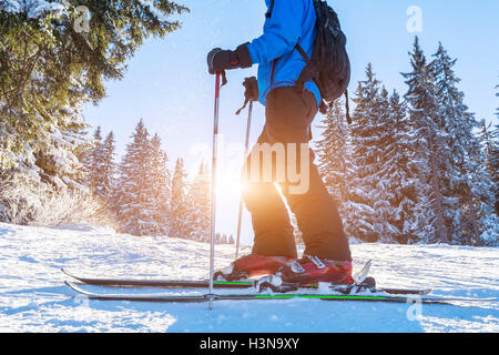 Ski et chaussures de ski de sur un sentier dans la forêt Banque D'Images