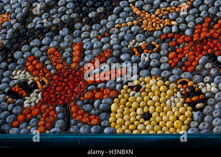 Sutton, près de Arundel, West Sussex, UK. 10 octobre, 2016. Une gigantesque photo de fleurs et d'abeilles faites entièrement de standss courges sur un beau matin d'automne au Festival de la citrouille à Sutton Sutton, près de Arundel, West Sussex, UK, lundi 10 octobre, 2016. Le géant photo est constitué de plus de 500 est de courges aider à recueillir des fonds pour la Sussex Wildlife Trust. Credit : Luke MacGregor/Alamy Live News Banque D'Images